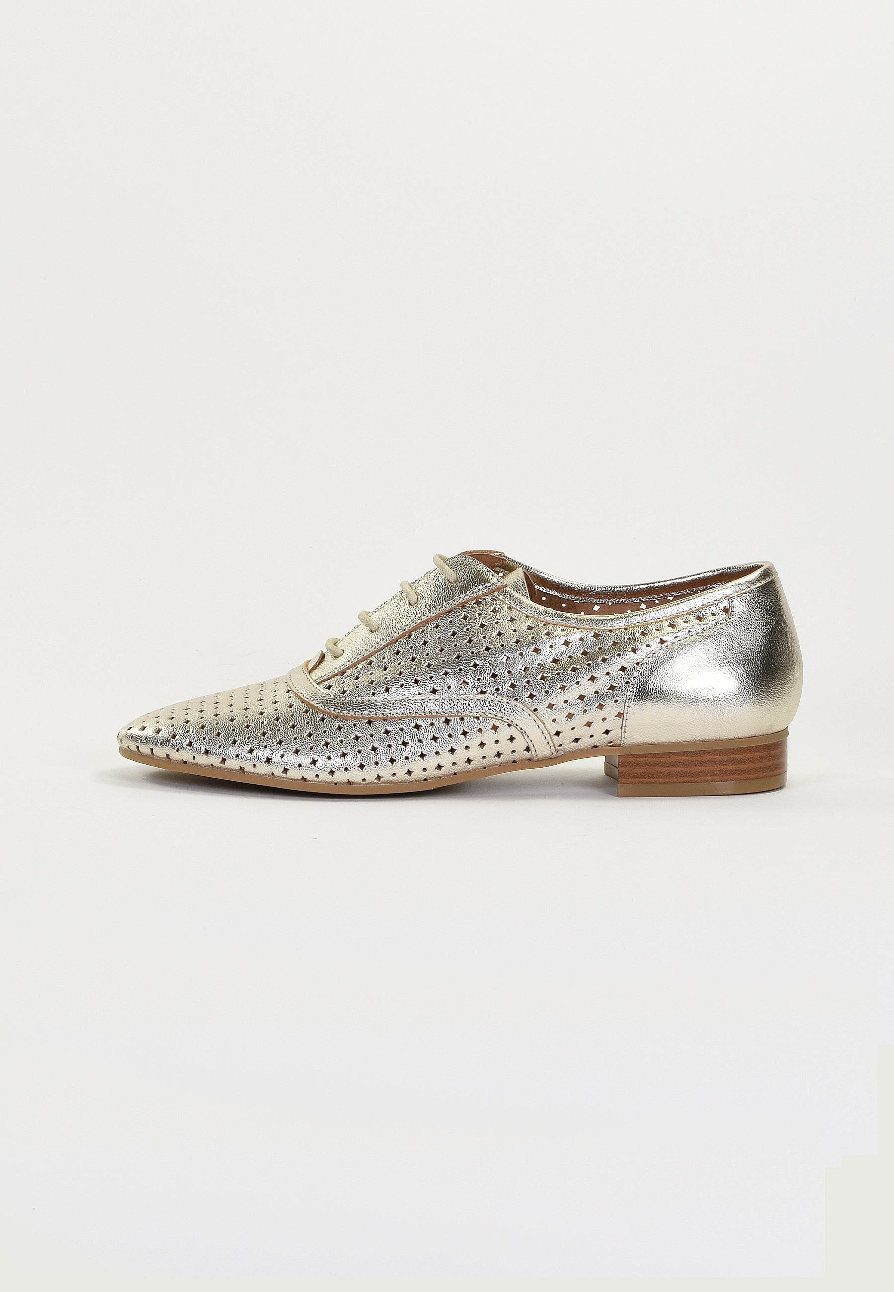 JOAHN DERBIES - PLATINUM