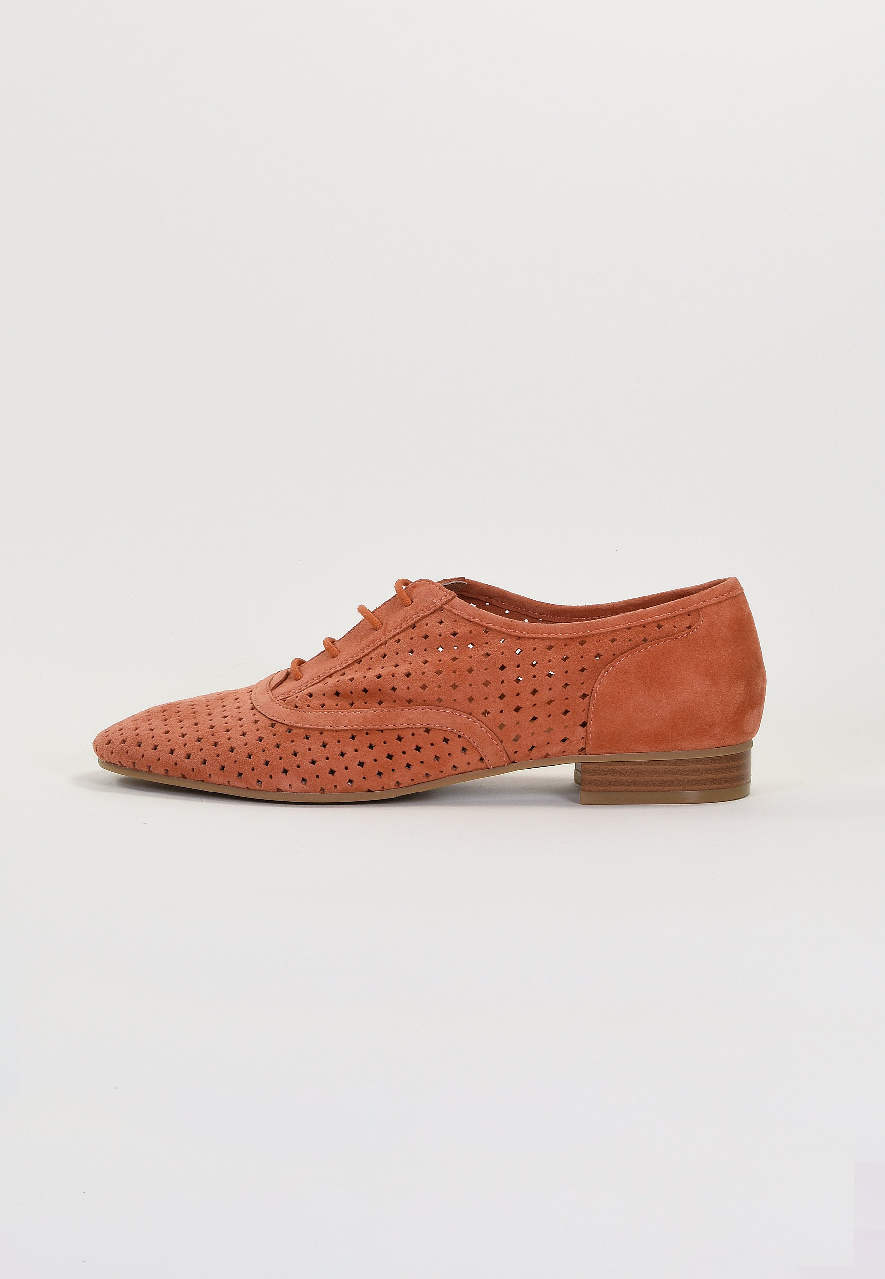 JOAHN DERBIES - SALMON