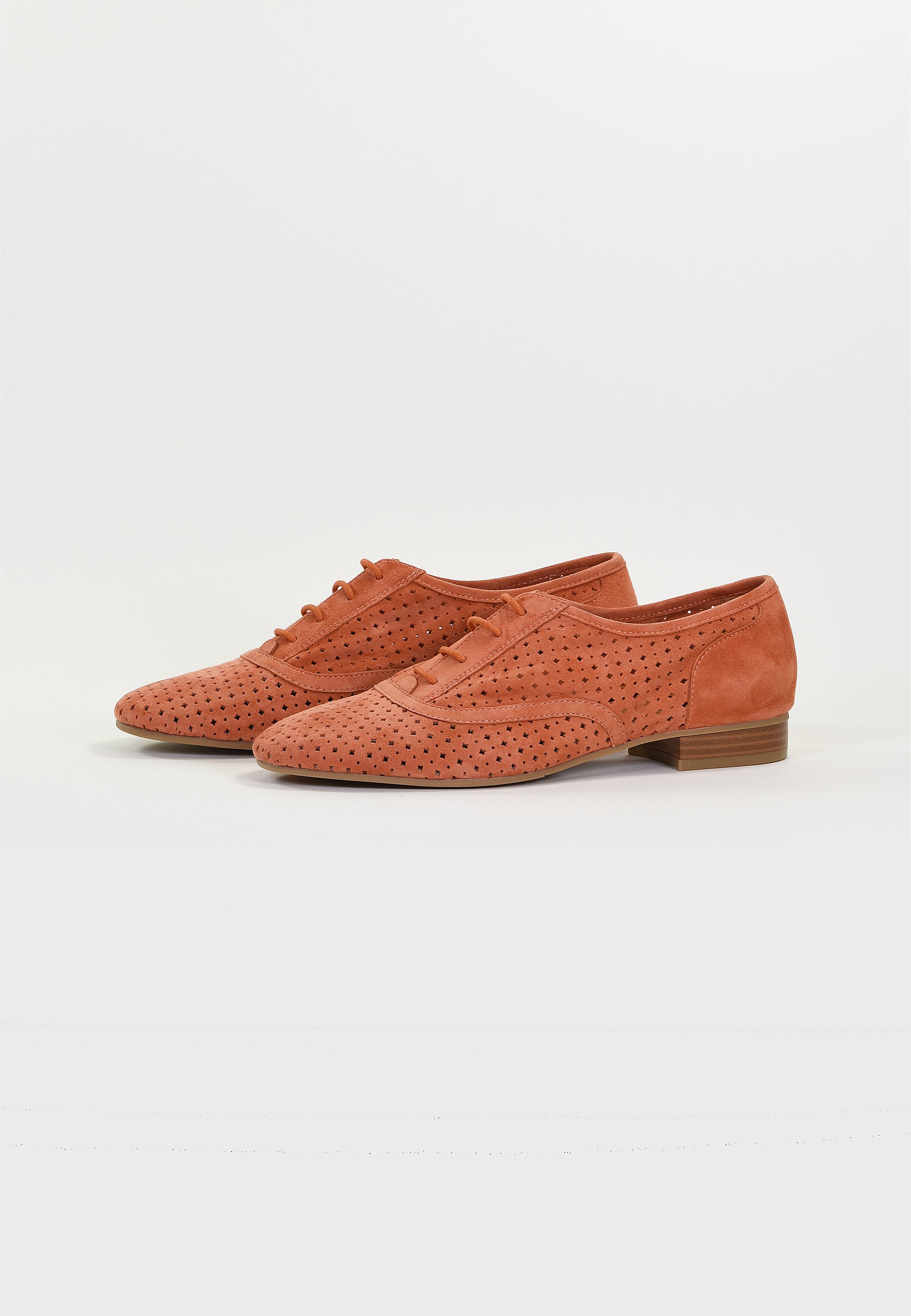 JOAHN DERBIES - SALMON
