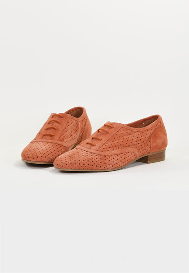 JOAHN DERBIES - SALMON